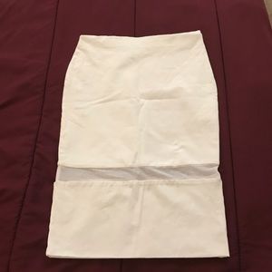 Zara Sheer Panel Skirt